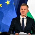 Mađar: Pakš radi sa polovinom kapaciteta! Elektrana u potpunosti operativna od srede
