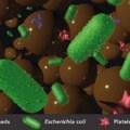 Mikro-uređaj otkriva bakterije i viruse