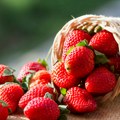Inspekcija Srpske sprečila uvoz 500 kg jagoda iz Albanije zbog pesticida
