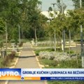 Velika zainteresovanost Beograđa: Ovo su cene na groblju za kućne ljubimce VIDEO