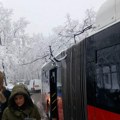 Kolaps na Košutnjaku, pala grana na autobus: Vozač i putnici hteli da je sklone, ali nisu smeli zbog ovoga