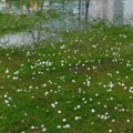 Zbog jakog nevremena pao deo krova sa zgrade u Mladenovcu