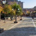 Ovaj šok snimak nastao je u Vranju? Mnogi bi pobegli, a on mu pruža ruku: Desilo se nešto neverovatno