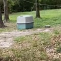 Ostavljena da umre, a onda su se vrata raja otvorila Par zatekao užas u svom dvorištu – prizor koji lomi srce! (video)