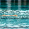 Bogojavljensko plivanje u Nišu – u bazen ulaze takmičari od 18 do 60 godina
