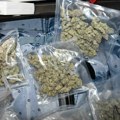 Uhapšen Nišlija, zaplenjeno više od dva i po kilograma marihuane