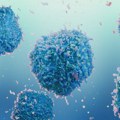 Jedna doza antitela sprečila povratak virusa sličnog HIV-u tokom četiri godine