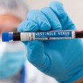Stanišić: Žena zaražena virusom Zapadnog Nila primljena s teškom kliničkom slikom na kliniku u Nišu