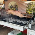 Afrička kuga svinja u Srbiji: Bujanovac bezbedan za sada, opasnost preti od divljih svinja