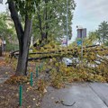 (Foto) vetar čupao drveće, stabla padala na vozila! Nevreme paralisalo Inđiju, stiglo hitno upozorenje: Katastrofa tek…