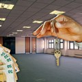 Ekstremne cene zakupa poslovnog prostora u Novom Sadu Novosađani računaju šta im se više isplati najam ili kupovina