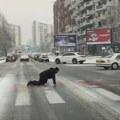 Neverovatna scena u Skoplju! Zbog snega puzao preko pešačkog prelaza, snimak zapalio mreže: "Nije zamenio letnje cipele za…