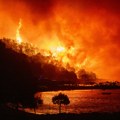 Veliki požar na Dugom otoku zahvatio rastinje i šumu, vatrogasci brane kuće