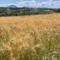 Nastavlja se toplotni talas