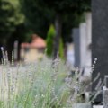 Važno obaveštenje za posetioce grobalja na Zadušnice