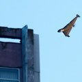 Ukrajina uzvraća udarac! Jato dronova poletelo ka Rusiji, na udaru ove četiri oblasti