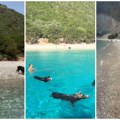 (Video) Neverovatna „odiseja“ u Jonskom moru! Svinje plivaju pored kupača i prava su atrakcija na Atokosu