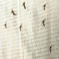 Komarci mogu biti najopasniji insekti na svetu