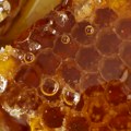 Nije svaki propolis isti: Evo kako da prepoznate original i izvučete maksimum za zdravlje