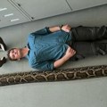 Amerika i životinje: Lovci na zmije bore se sa pitonima koji mogu da progutaju aligatore
