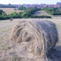 Ko (ne) brine o Spomen parku „Kragujevački oktobarˮ: Kad Šumarice nemaju granice
