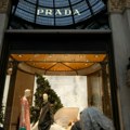 Pljačka u fabrici Prade kod Venecije: Ukrali stotine pari dizajnerske obuće vrednih više stotina hiljada evra