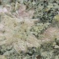 U Rusiji otkriven novi mineral, već na startu mnogo vredniji od zlata: Naučnici ostali zapanjeni kad su shvatili šta se sve…