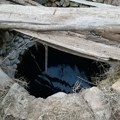 U Čukljeniku kraj Leskovca muškarac upao u bunar i utopio se