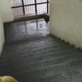 VIDEO Apokaliptične scene na stadionu Partizana: Poplavljene prostorije, voda se sliva niz stepenice