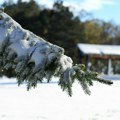 Kakvo vreme nas u januaru očekuje u Vojvodini