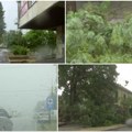 Snažno nevreme pogodilo Zrenjanin, vetar lomio grane sa drveća, jak vetar i u Subotici