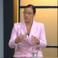 Bliži se grejna sezona, kakav ćemo vazduh disati? Pavkov: Moramo biti brži u zameni energenata, i građani to prepoznaju