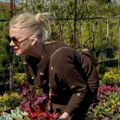 Memedovićeva bivša žena okopava u rasadniku: Sama sređuje svoje imanje nadomak Beogada, evo kako izgleda
