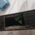 Čačanka upala u otvorenu šahtu usred centra grada! Jednom nogom prpala do kuka, druga ostala gore: "Dete je bilo sa mnom…