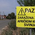 Afrička kuga svinja: pooštrene kontrole i nadzor lovišta