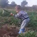 Oj đevojko Milijana... Dečak okopava krompir uz staru crnogorsku pesmu (video)