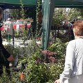 Danas i sutra treća Novosadska cvetna pijaca ispred Spensa Prilika za recikliranje i kupovinu novih sadnica