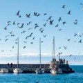 Ohridsko jezero postaje makedonski spomenik prirode