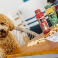 Đorđe je napravio prvi sok za pse u svetu: Ljubimci mogu da ga piju u kafićima i restoranima