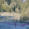 Zima ne popušta! Ovo srpsko selo jutros osvanulo zaleđeno: Meštani se boje najgoreg