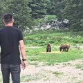 Milan Vasić na Šar planini sa medvedima: Glumac uputio emotivnu poruku sa Kosova i Metohije "Ovo je dar od Boga..." (video)