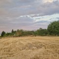 Paljenje strnjike nema nijednu dobru stranu, a može da napravi veliku štetu