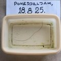 Fuj, bljak! Iz slavine izašla "konjska dlaka", scena užasa u Banjaluci! Dugački parazit se brčka u plastičnoj posudi! (video)…