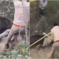 "Držala ga je skoro dva minuta" Dramatičan snimak napada divlje zveri, nemilosrdna životinja ščepala nesrećnog čuvara, jedva…