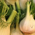 Pomalo podseća na crni luk: Ovo nepopularno povrće je "melem" za jetru