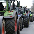 Protesti poljoprivrednika otkrivaju strukturnu slabost tržišta mleka u Srbiji