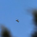Raketiran petrohemijski pogon u iranskom gradu Mahšaru