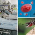 Virus Zapadnog Nila hara Italijom: Najviše zaraženih u ova 4 regiona