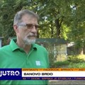 PAPRENA KAZNA OD DVA MILIONA JE MIT Aleksić, Zavod za biocide: Gnezdo stršljana možete i sami da uklonite
