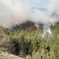 Gori 20 hektara: Šumski požar u Ibarskoj klisuri kod varošice Ušće